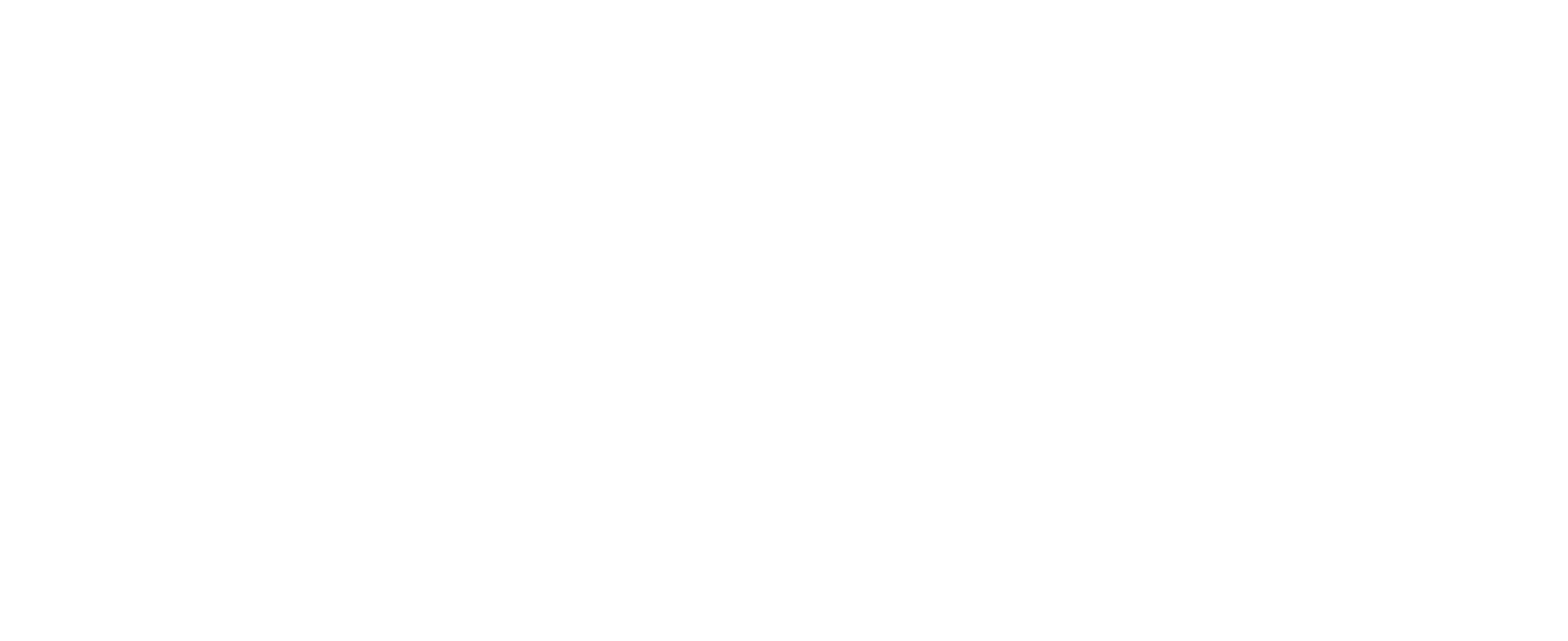Oasira Logo